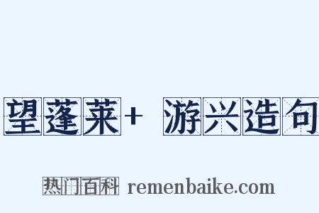 望蓬莱+游兴造句是什么意思的图片
